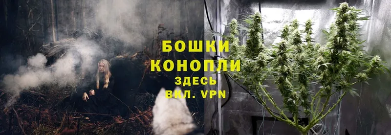 Конопля Ganja  Борзя 